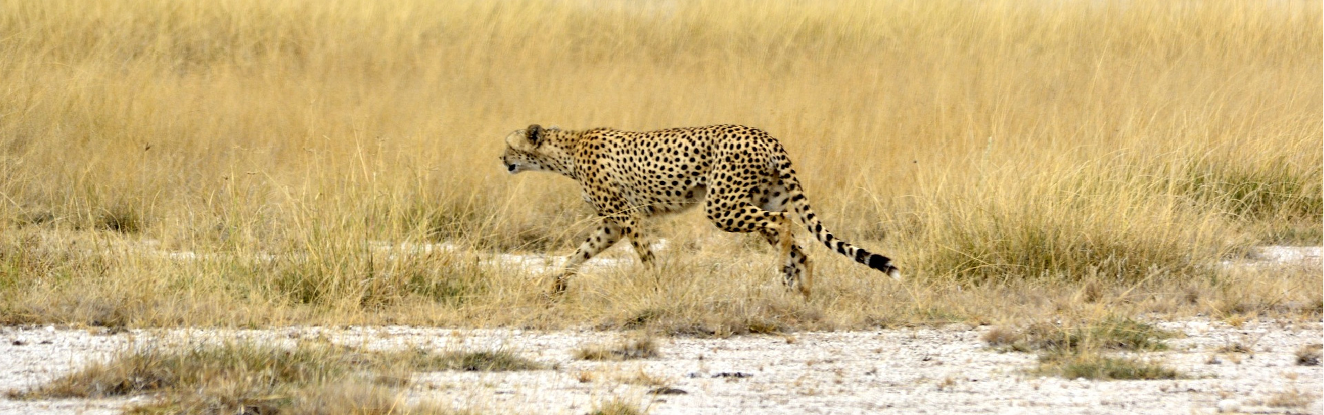 Amboseli National Park Tour